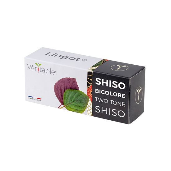 Συσκευασία σπόρων shiso, "Lingot", δίχρωμη - μάρκας VERITABLE