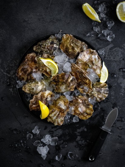 Knife for oysters, 18 cm, stainless steel - by Kitchen Craft
