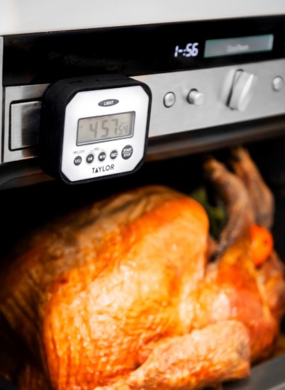 Splash 'N' Drop digital timer - Taylor Pro