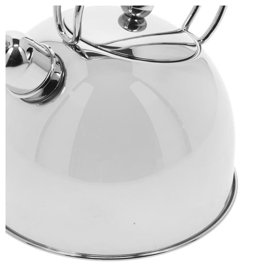 Tea kettle, 20 cm/2,5 L, 'Specialties' series, stainless steel - Demeyere
