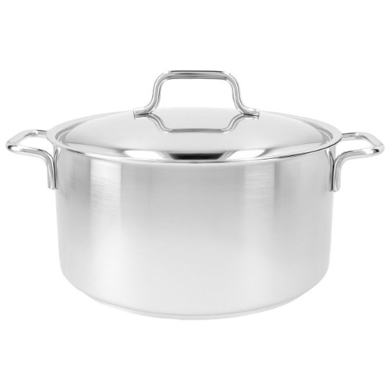 Saucepan with lid, 24 cm / 5.2 l "Apollo", stainless steel - Demeyere