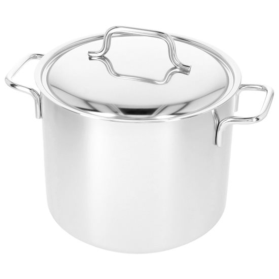 Cooking pot with lid, 20 cm / 5 l "Apollo", stainless steel - Demeyere