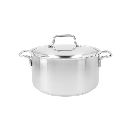 Saucepan with lid, 22 cm / 4 l "Apollo", stainless steel - Demeyere