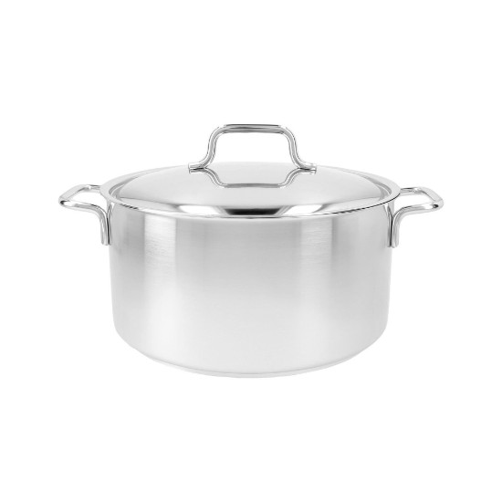 Saucepan with lid, 24 cm / 5.2 l "Apollo", stainless steel - Demeyere