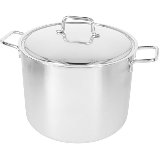 Cooking pot with lid, 30 cm/16 l "Apollo", stainless steel - Demeyere