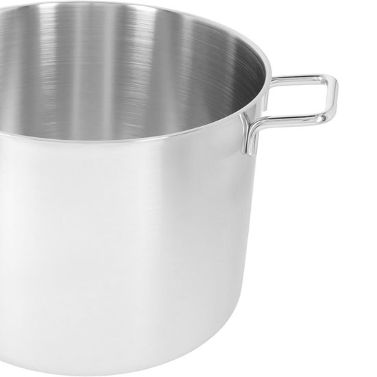 Cooking pot with lid, 30 cm/16 l "Apollo", stainless steel - Demeyere