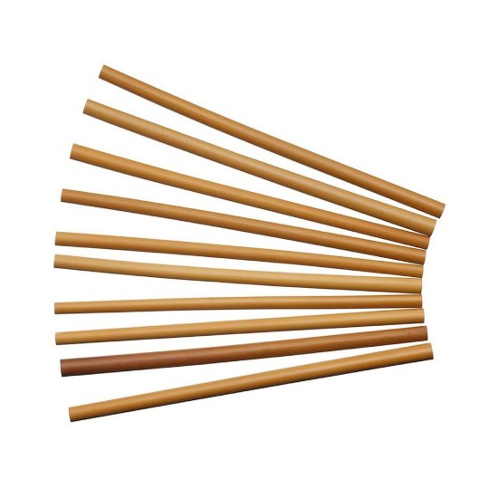 Sæt med 10 bambussugerør, 19 cm - Natural Elements