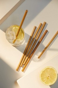 Sæt med 10 bambussugerør, 19 cm - Natural Elements