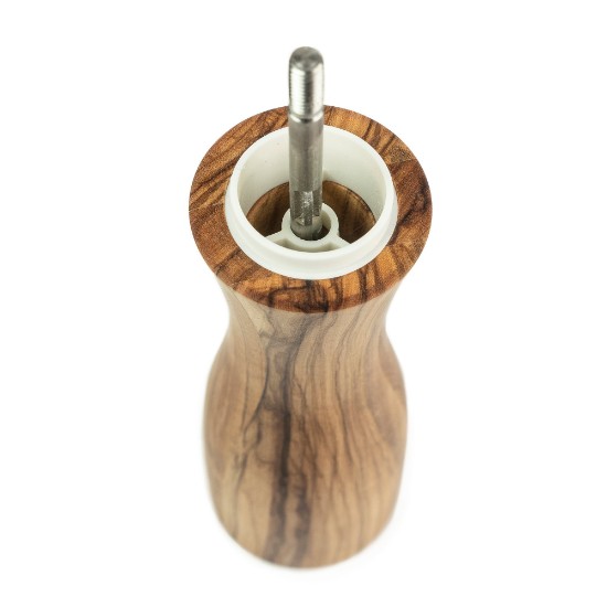 Salt grinder, 15 cm "Fidji" - Peugeot