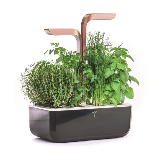 Saksı kutusu, 33 × 18,5 × 45 cm, "SMART Garden", Copper – Veritable