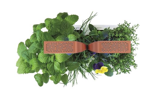 Κουτί ζαρντινιέρα, 33 × 18,5 × 45 cm, "SMART Garden", Copper – Veritable