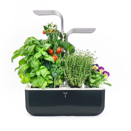Planter box, 33 x 18.5 cm x 45 cm, "SMART Garden", Soft Black - Veritable