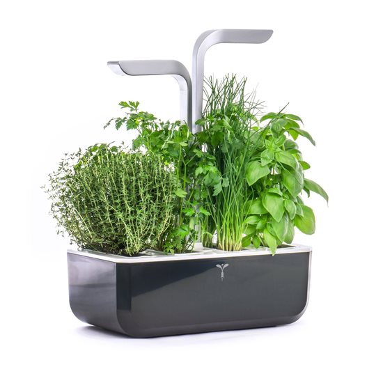 Plantekasse, 33 x 18,5 cm x 45 cm, "SMART Garden", Soft Black - Veritable