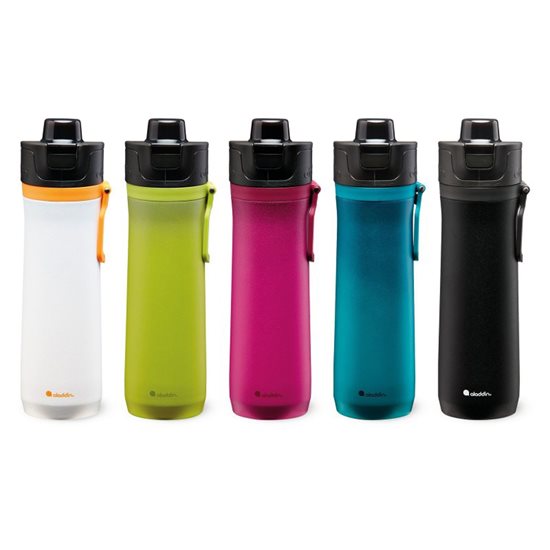 Edelstahl-Thermo-Isolierflasche, 600ml, <<Sage>>, "Sports Thermavac" - Aladdin