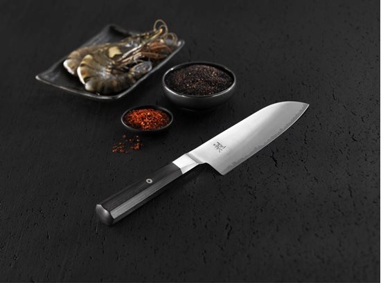 Cuchillo Gyutoh, 20 cm, 4000FC - Miyabi
