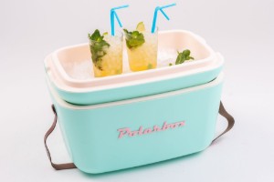 Холодильник, 12 л, "Classic", Cyan - Baby Rose - Polarbox