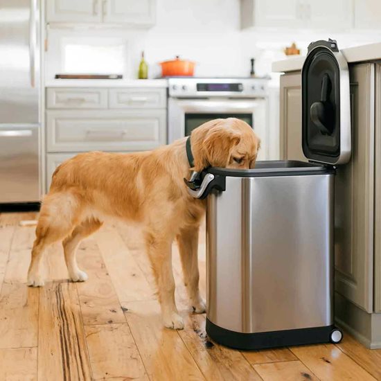 Voerbak voor huisdieren, roestvrij staal, 30 L - simplehuman