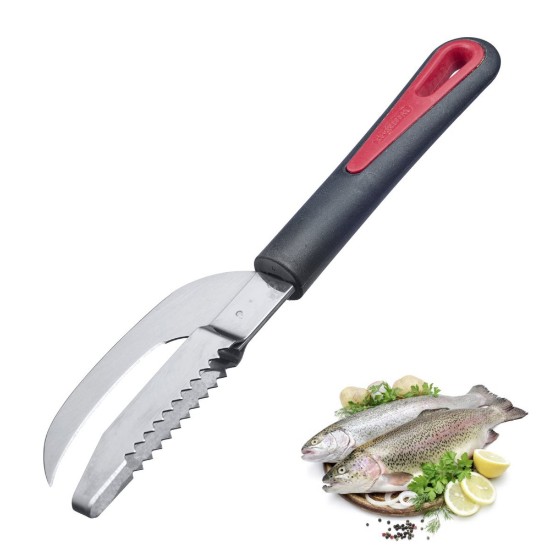 Ustensile 2 en 1 pour enlever les écailles de poisson, inox, 22,4 cm, gamme "GALLANT" - Westmark