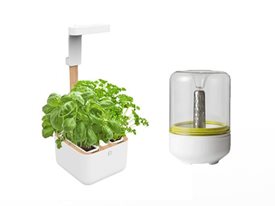 Picture for category Smart planters