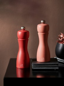 Lot de 2 moulins sel et poivre 15 cm "Tahiti Fire", Bricks&Flame - Peugeot