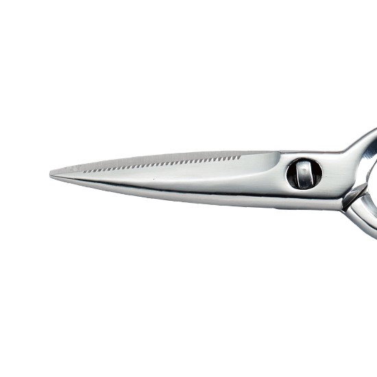 Kitchen scissors, stainless steel, 20.5 cm - Zokura