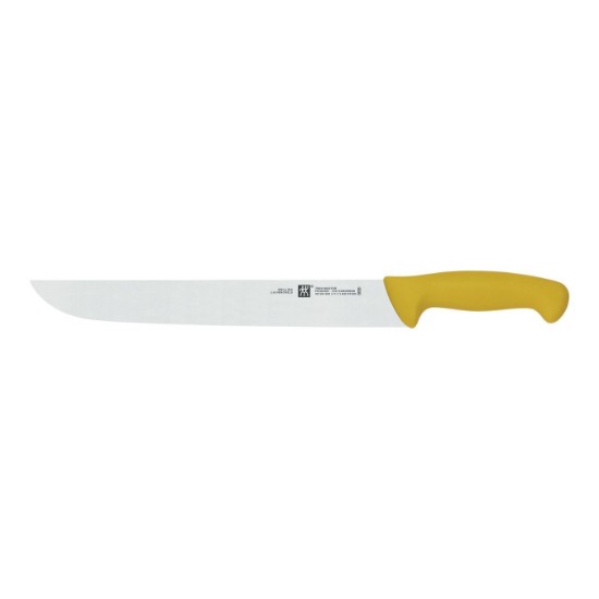 Scian búistéir, 30 cm, <<TWIN Master>> - Zwilling