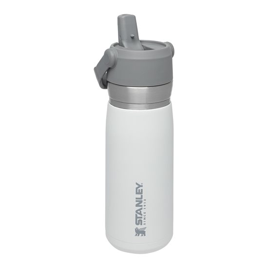 Water bottle, stainless steel, 650ml, "Go Flip Straw", Polar - Stanley