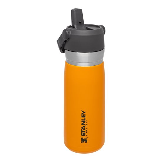 Water bottle, stainless steel, 650ml, "Go Flip Straw", Saffron - Stanley