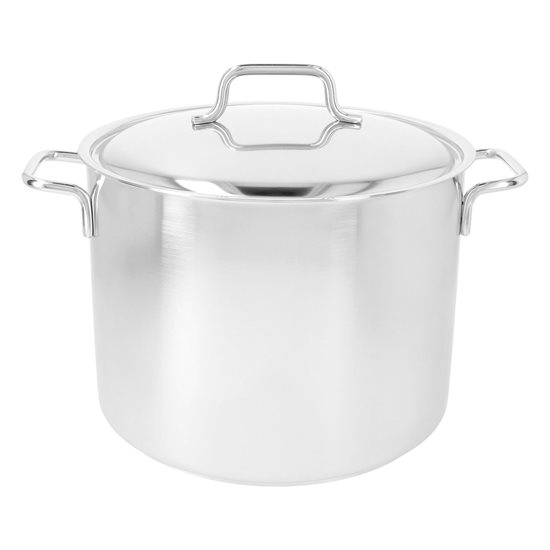 Cooking pot with lid, 24 cm /8 l "Apollo", stainless steel - Demeyere