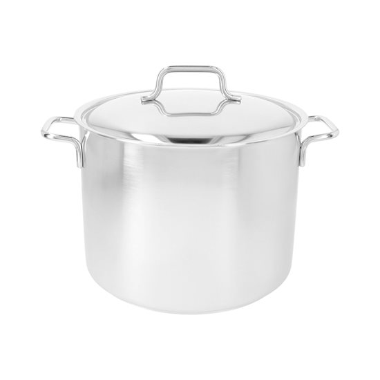 Cooking pot with lid, 20 cm / 5 l "Apollo", stainless steel - Demeyere