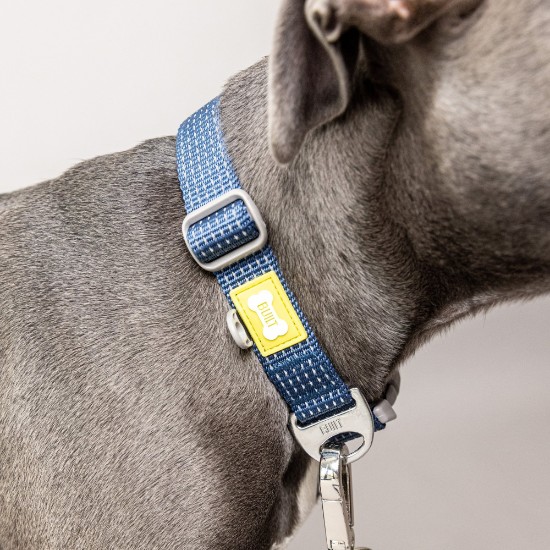 Collier réfléchissant pour chien, grande taille, Bleu - Built Pet