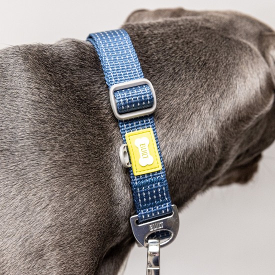 Reflektierendes Hundehalsband, groß, Blau – Built Pet