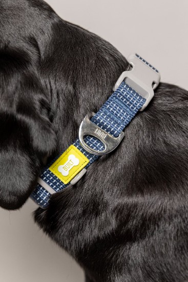 Yansıtıcı köpek tasması, büyük boy, Mavi - Built Pet