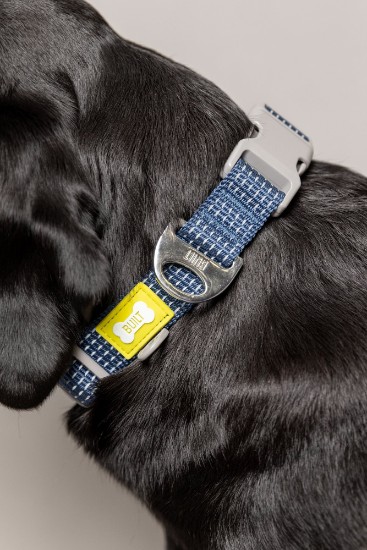 Collier réfléchissant pour chien, grande taille, Bleu - Built Pet