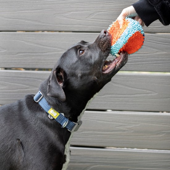 Coleira reflexiva para cães, tamanho grande, azul - Built Pet