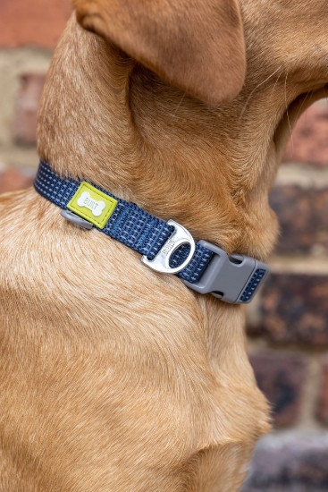 Reflekterende hundehalsbånd, middels størrelse, blå - Built Pet