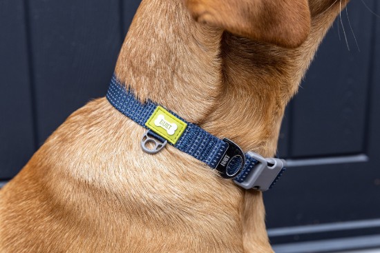 Reflective dog collar, medium size, Blue - Built Pet