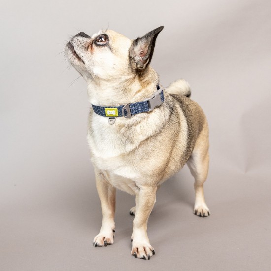 Atstarojoša suņu kaklasiksna, mazs izmērs, Blue - Built Pet