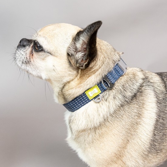 Reflective dog collar, small size, Blue - Built Pet