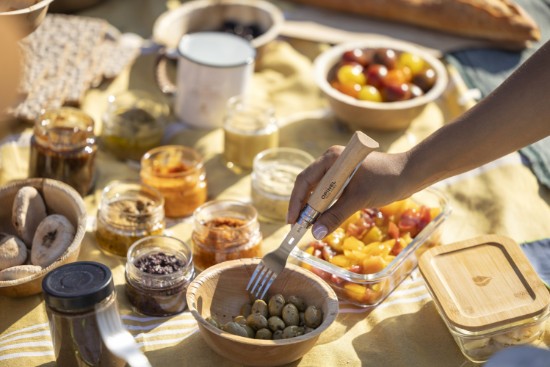 4-delat picknickset, rostfritt stål, "Picnic Plus" - Opinel