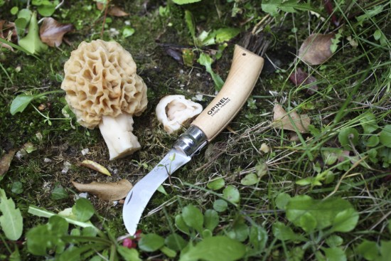 Couteau à champignons N°08, inox, 8 cm - Opinel