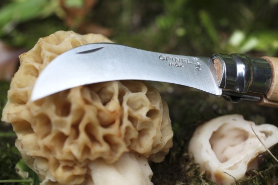 N°08 knife for mushrooms, stainless steel, 8 cm - Opinel