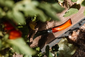 Set di coltelli da giardinaggio 3 pezzi, acciaio inossidabile - Opinel
