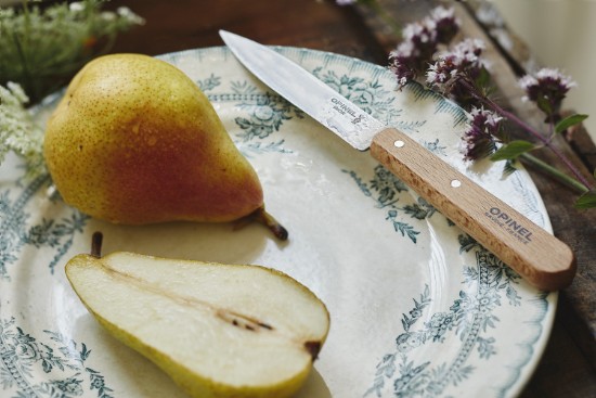 Nr. 112 Messer zum Schälen von Obst und Gemüse, Edelstahl, 10 cm, „Les Essentiels“ – Opinel