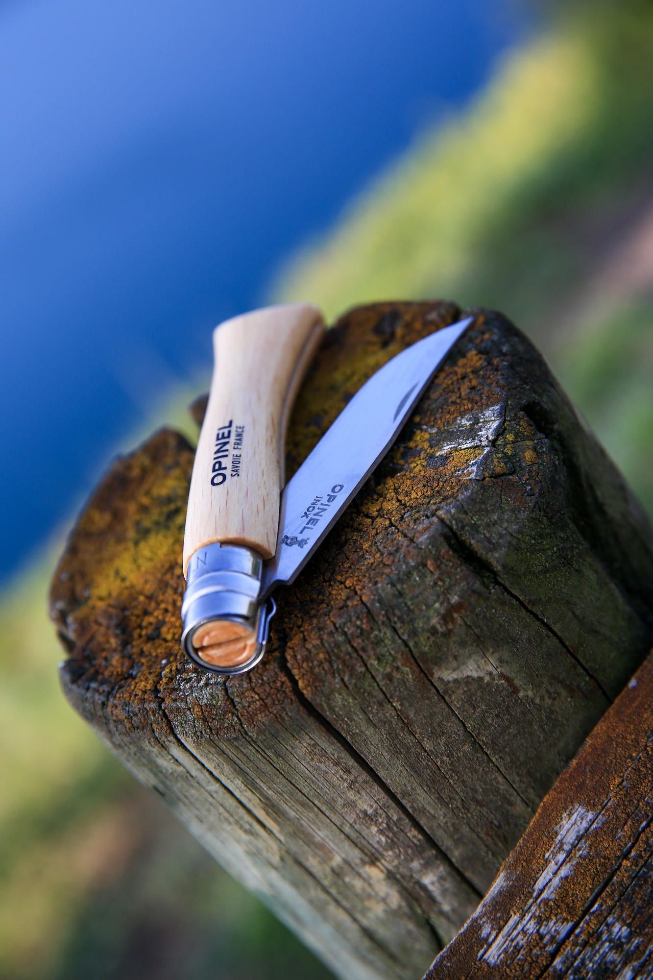 Opinel pocket knife No. 10, stainless steel, 10 cm