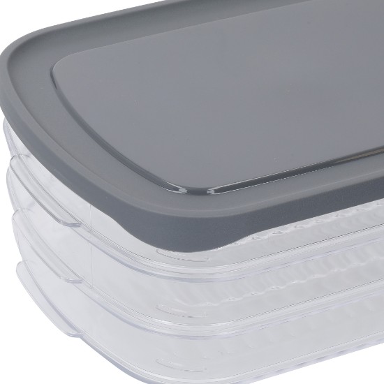 Škatla za shranjevanje hrane s predelki, plastika, 23 x 16 cm, 'Master Class' - Kitchen Craft