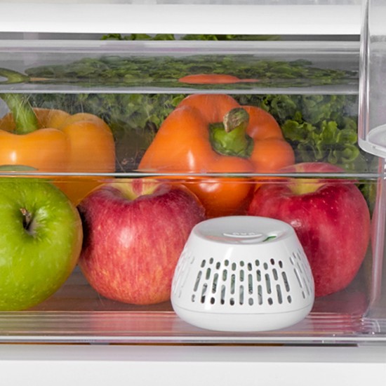 Conjunto de 2 dispositivos de manutenção de alimentos Greensaver - OXO