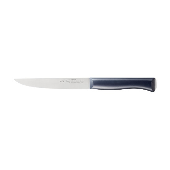 3-piece knife set, stainless steel, "Intempora" - Opinel