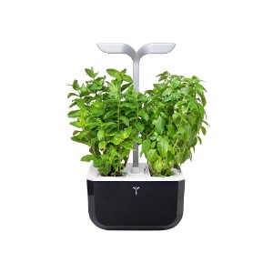 Exky "SMART Garden" planter, Soft Black - Veritable