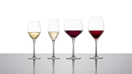 Lot de 2 verres à vin rouge, verre cristallin, 638 ml, gamme Roulette - Schott Zwiesel